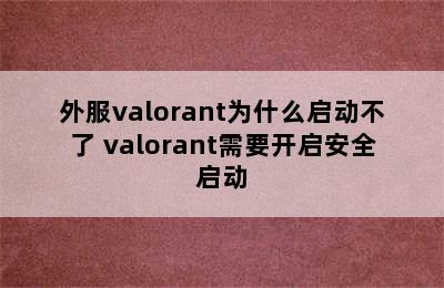 外服valorant为什么启动不了 valorant需要开启安全启动